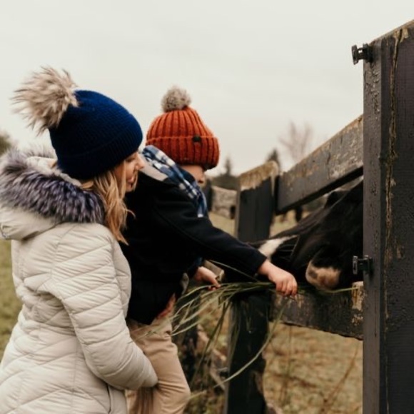 Meet your Posher, Isabella - Picture 1 of 1